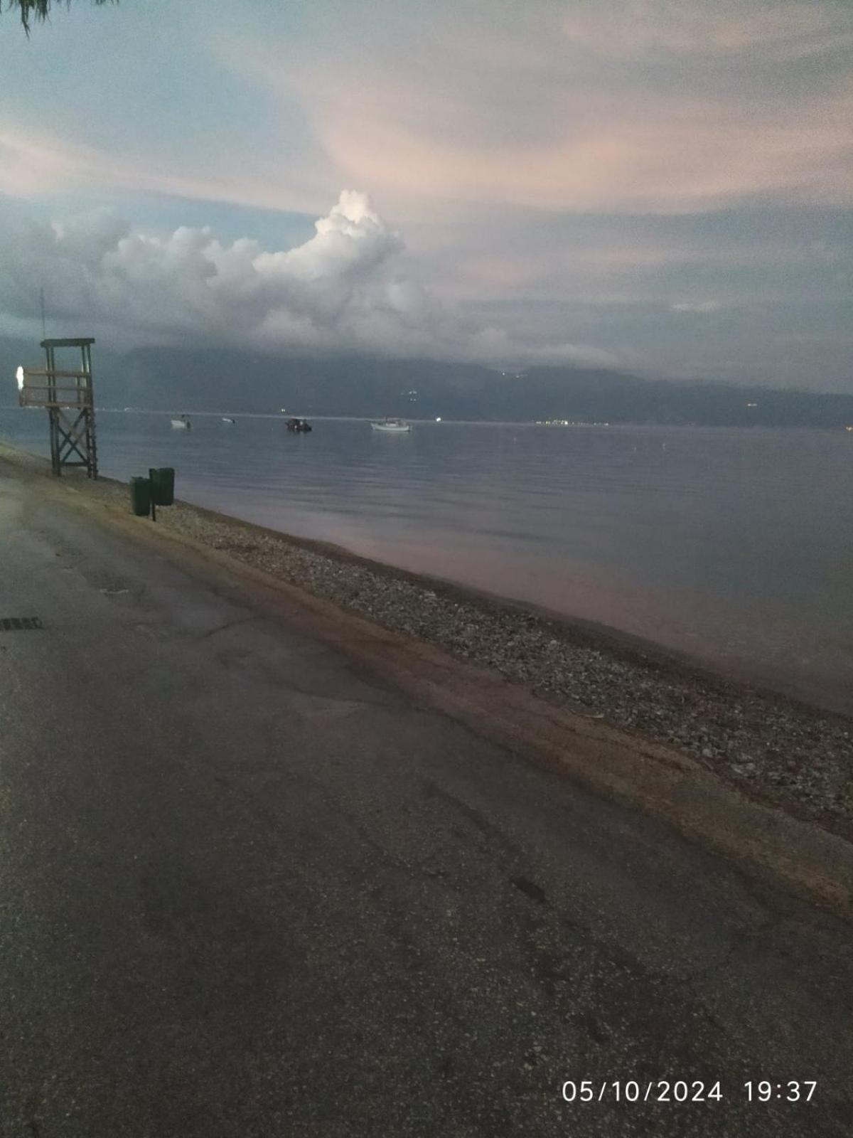 Loggos